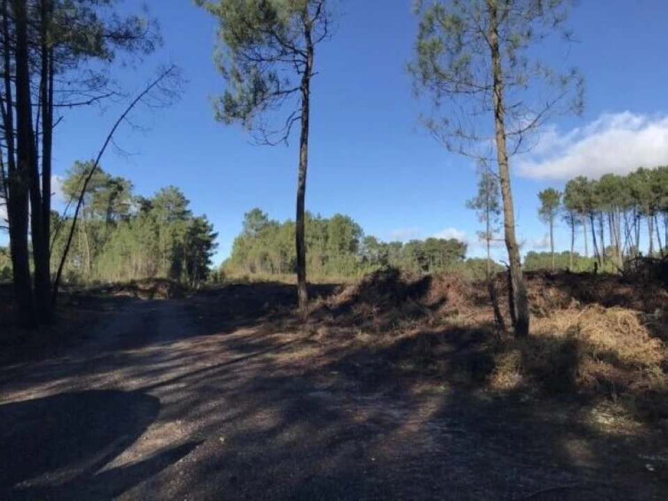 Terreno para Venda em Andrães Foto 3