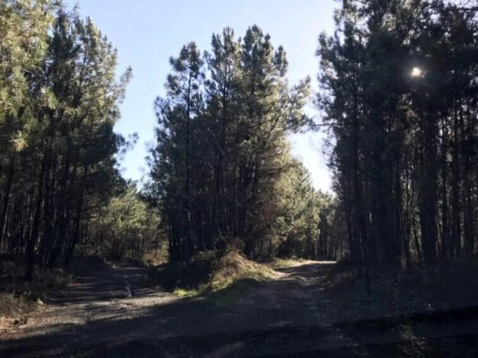 Terreno para Venda em Andrães Foto 4