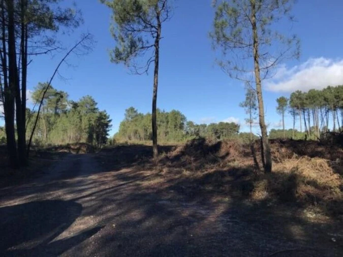 Terreno para Venda em Andrães Foto 3
