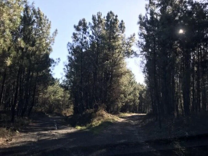 Terreno para Venda em Andrães Foto 4