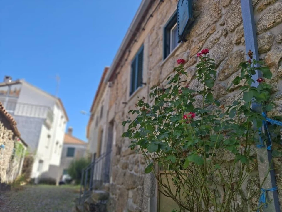 Moradia T1 para Venda em Terras de Massueime Foto 3