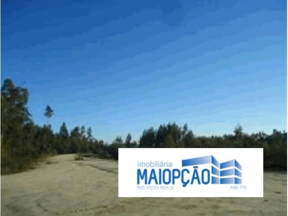 Terreno para Venda em Seroa Foto 4