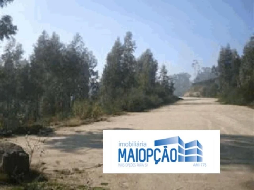 Terreno para Venda em Seroa Foto 3