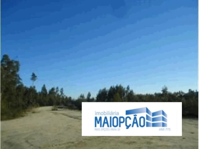 Terreno para Venda em Seroa Foto 4