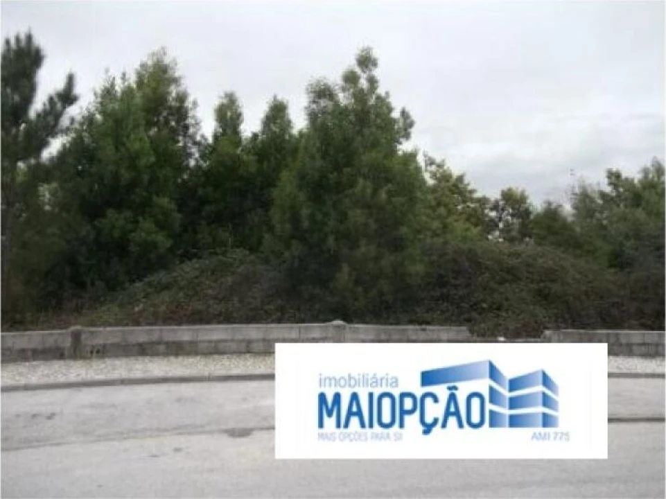 Terreno para Venda em Luso Foto 6