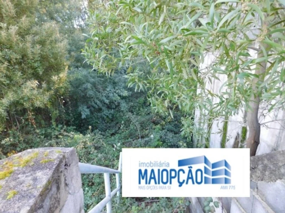 Terreno para Venda em Luso Foto 7