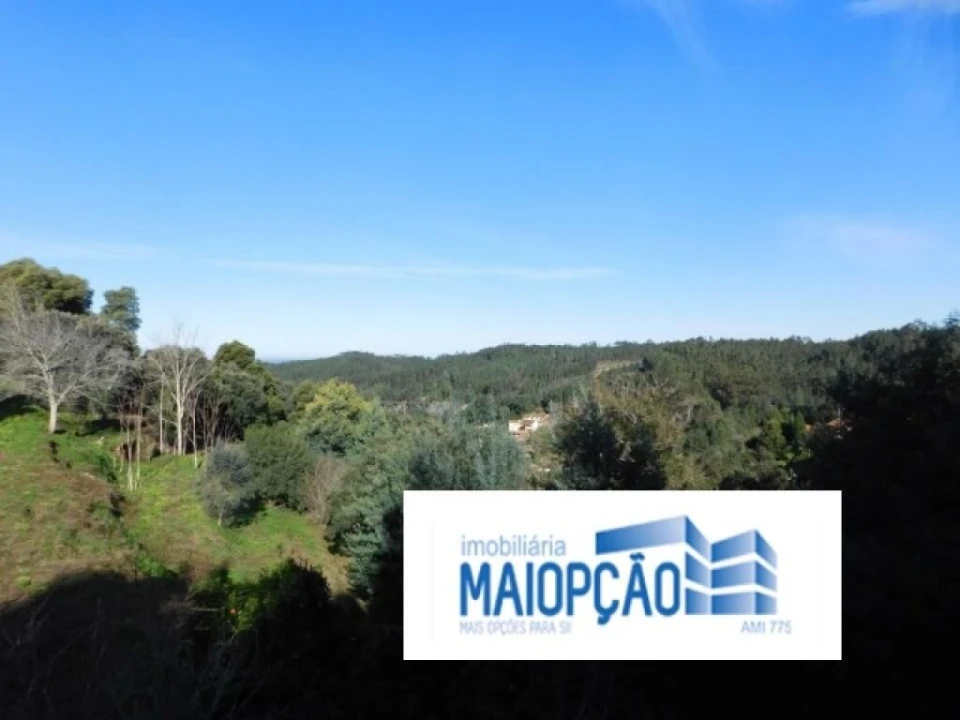 Terreno para Venda em Luso Foto 8