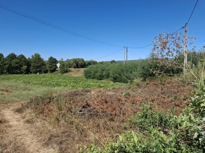 Terreno para Venda em Terras de Massueime Foto 2