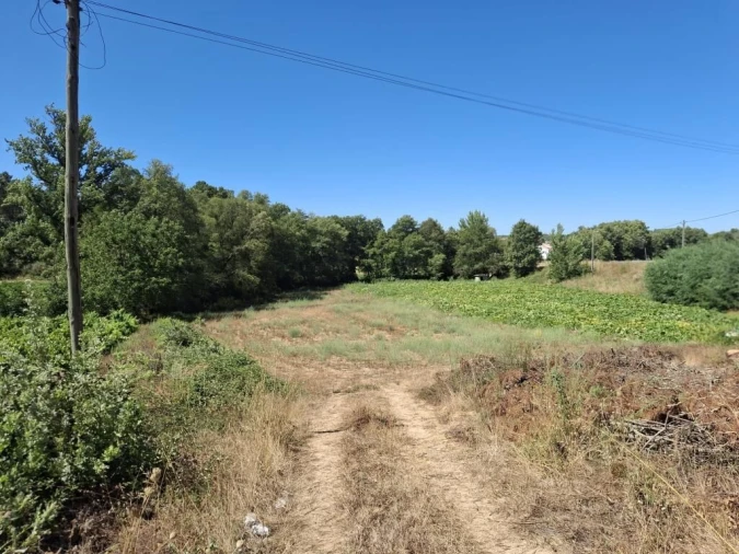 Terreno para Venda em Terras de Massueime Foto 3