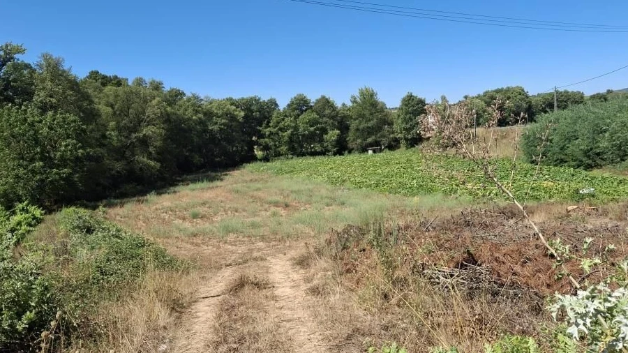 Terreno para Venda em Terras de Massueime