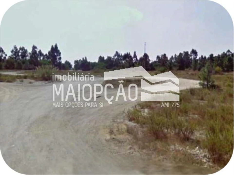 Terreno para Venda em Pegões Foto 3