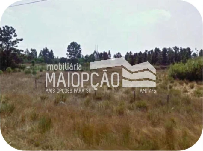 Terreno para Venda em Pegões Foto 2