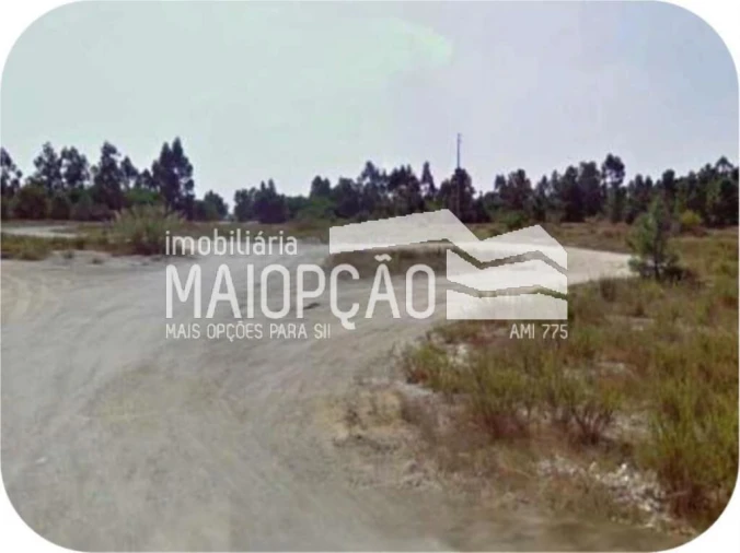 Terreno para Venda em Pegões Foto 3