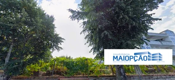 Terreno para Venda em Nelas