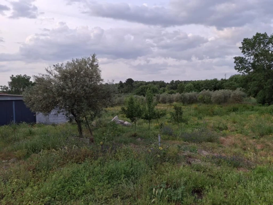 Quinta T0 para Venda em Ratoeira Foto 2