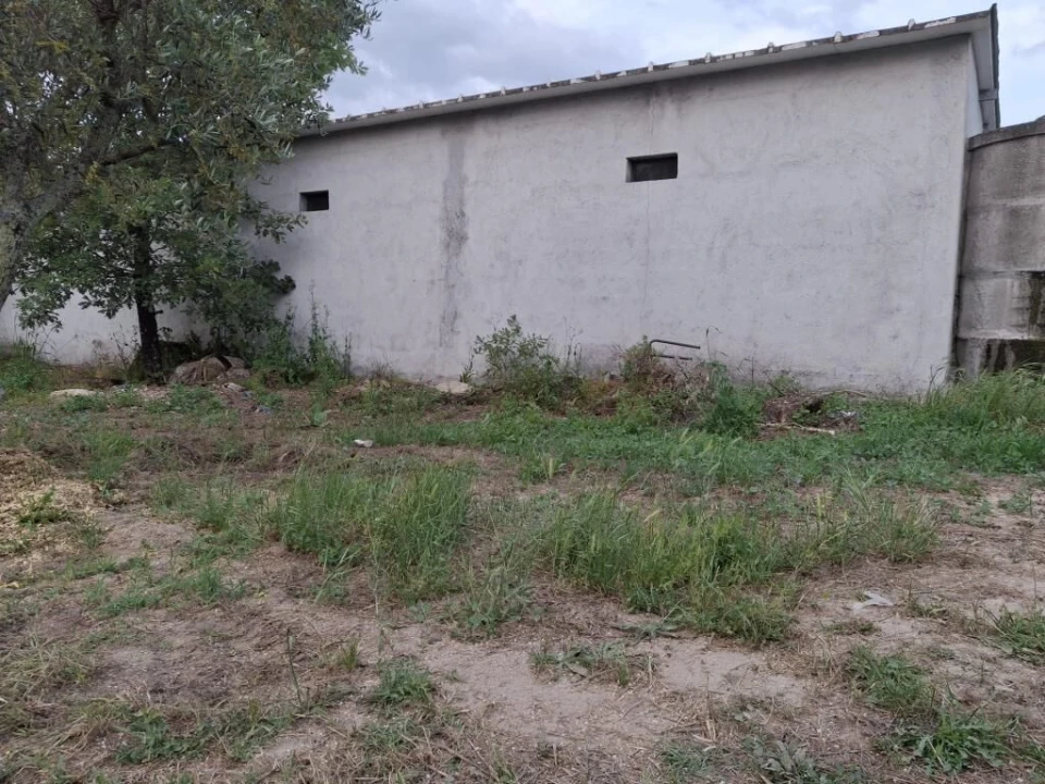 Quinta T0 para Venda em Ratoeira Foto 10