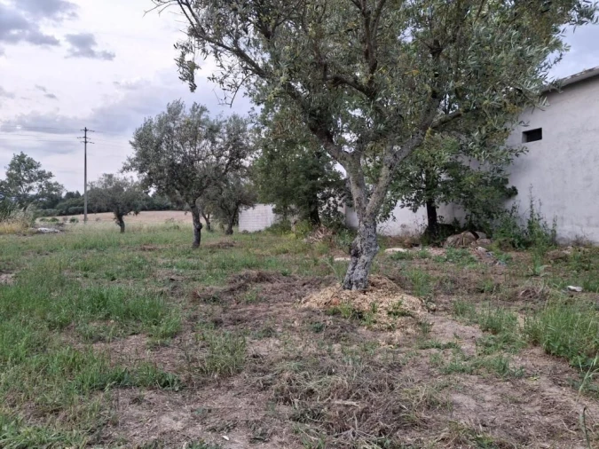 Quinta T0 para Venda em Ratoeira Foto 11