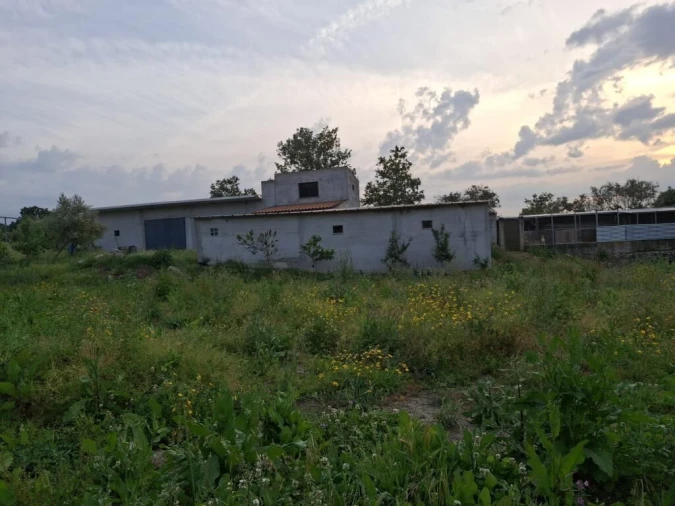 Quinta T0 para Venda em Ratoeira Foto 12