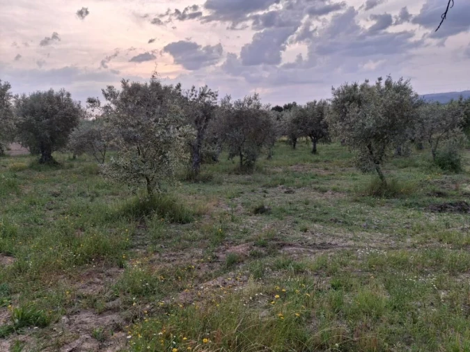 Quinta T0 para Venda em Ratoeira Foto 16