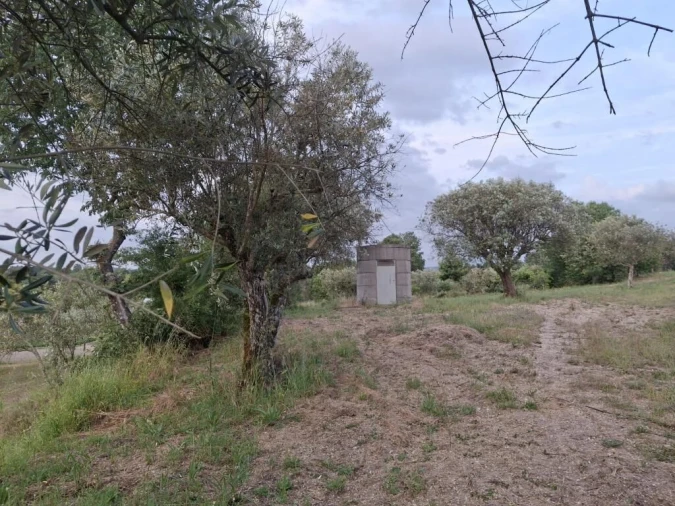 Quinta T0 para Venda em Ratoeira Foto 20