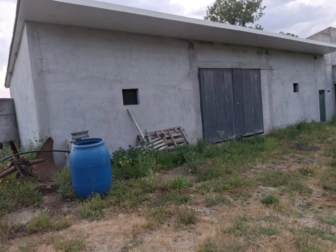 Quinta T0 para Venda em Ratoeira Foto 4