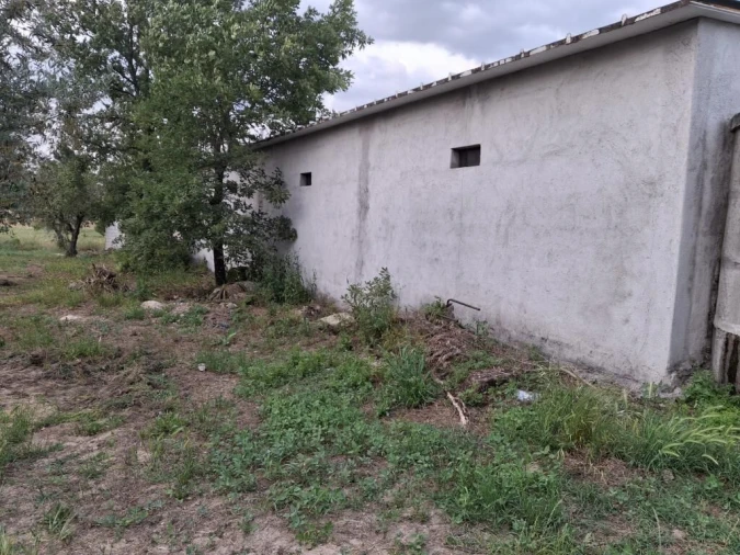 Quinta T0 para Venda em Ratoeira Foto 8