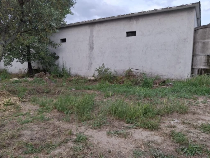 Quinta T0 para Venda em Ratoeira Foto 10