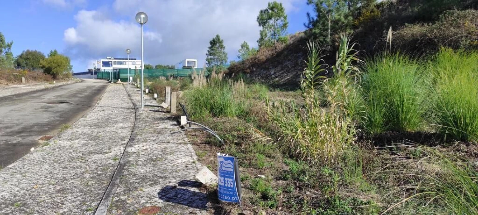 Terreno para Venda em Azambuja Foto 3
