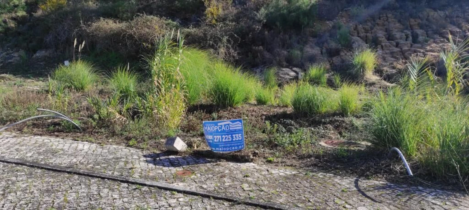 Terreno para Venda em Azambuja Foto 4