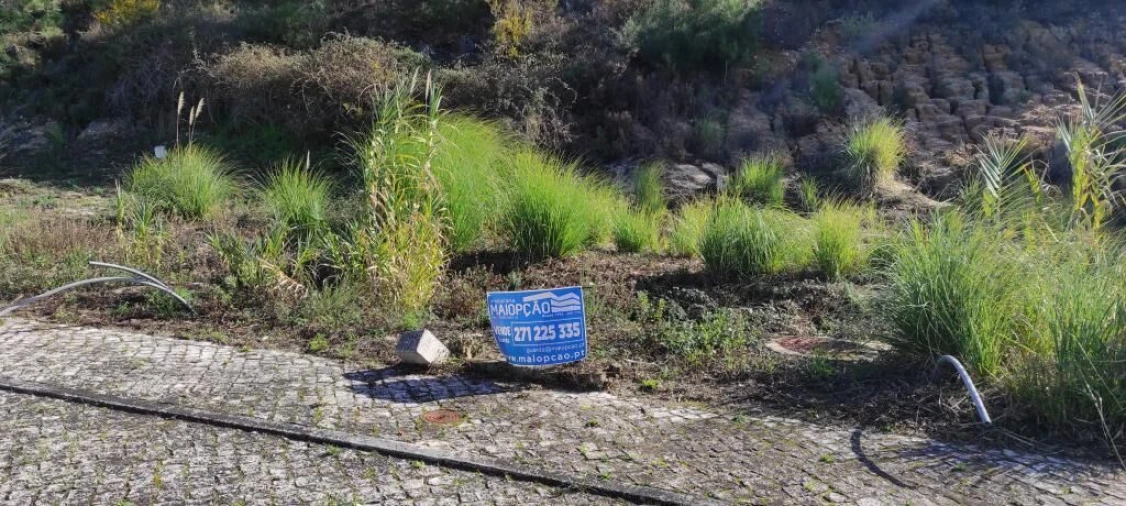 Terreno para Venda em Azambuja Foto 4