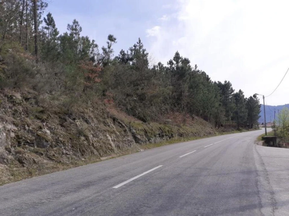 Terreno para Venda em São João de Tarouca Foto 4