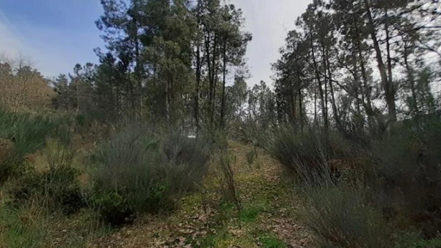 Terreno para Venda em São João de Tarouca