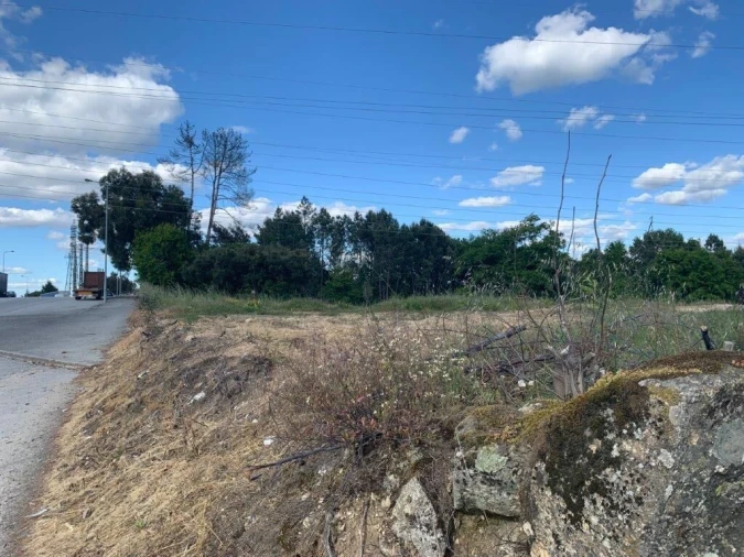 Terreno para Venda em Rio de Loba Foto 4