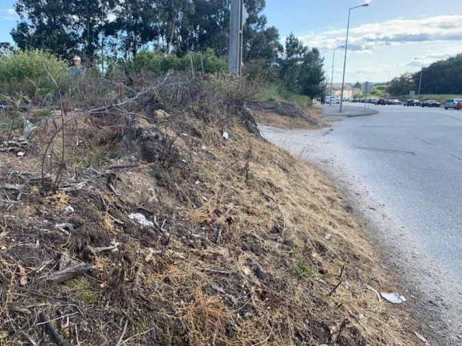 Terreno para Venda em Rio de Loba Foto 5