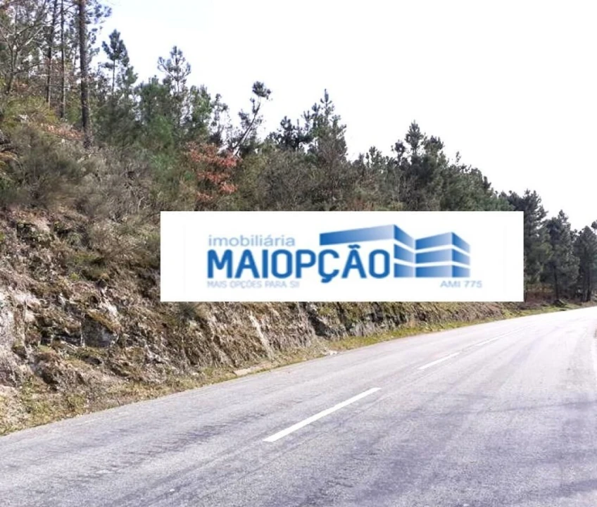 Terreno para Venda em São João de Tarouca Foto 1