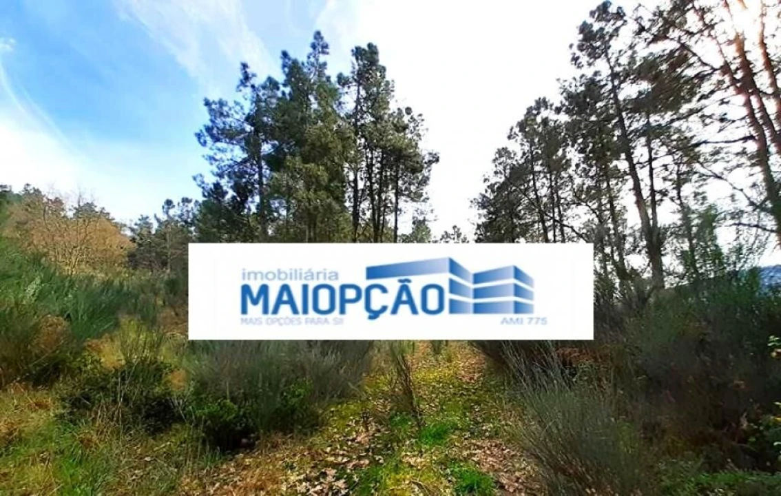 Terreno para Venda em São João de Tarouca Foto 2