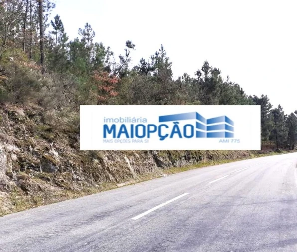 Terreno para Venda em São João de Tarouca