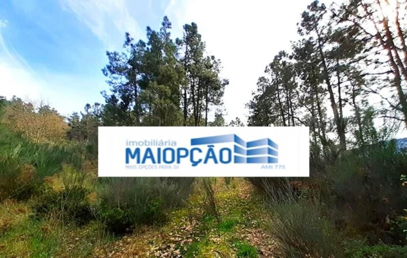 Terreno para Venda em São João de Tarouca Foto 2