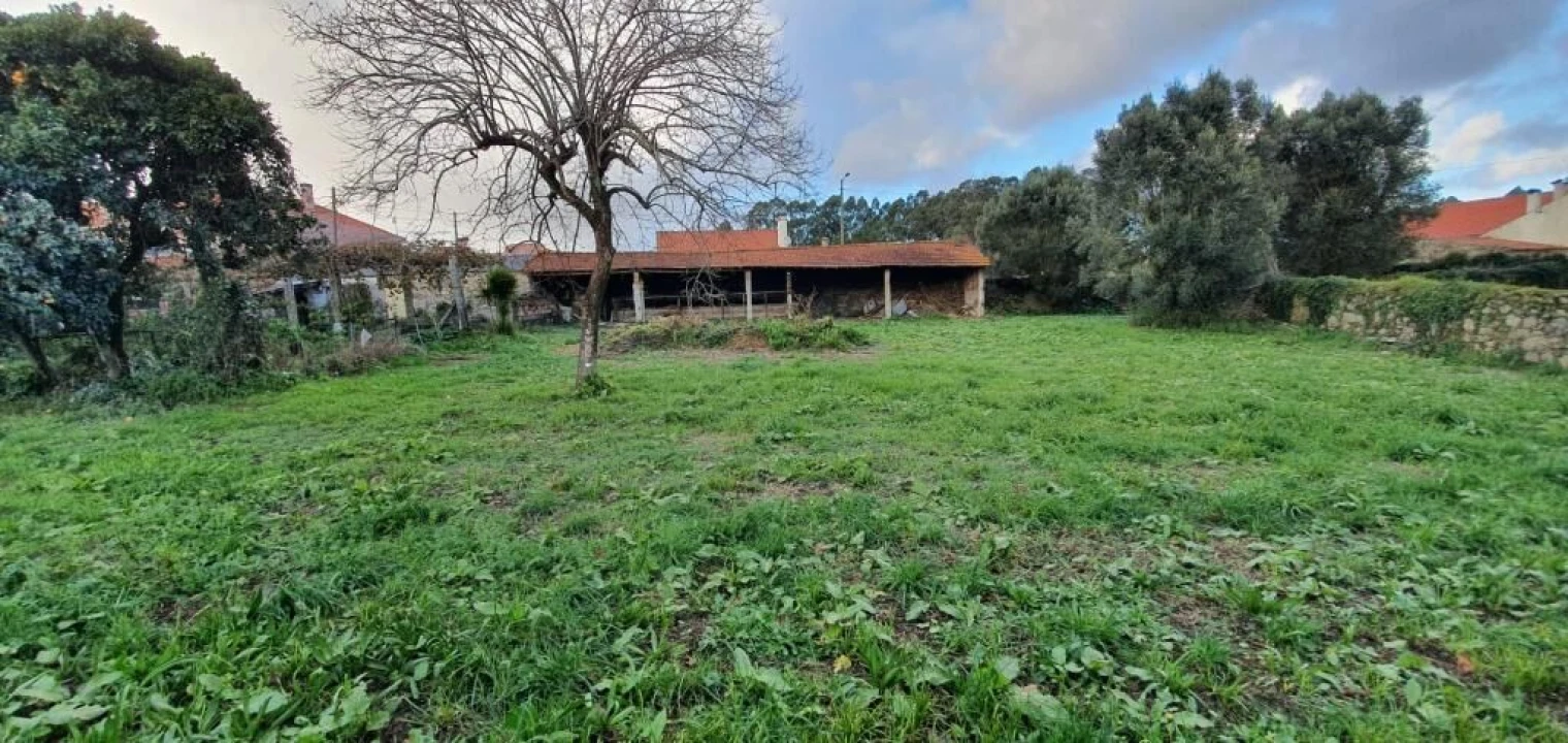 Moradia T0 para Venda em Alvarães Foto 3