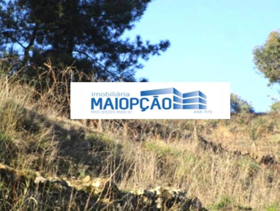Terreno para Venda em Ervedosa do Douro Foto 1