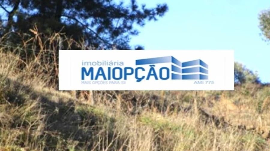 Terreno para Venda em Ervedosa do Douro