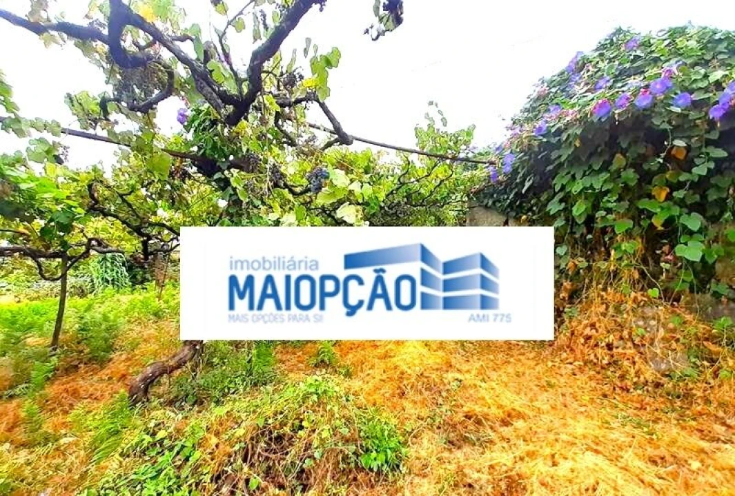 Moradia T2 para Venda em Fornelos Foto 4