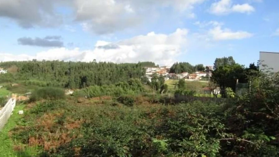 Terreno para Venda em Nogueira da Regedoura