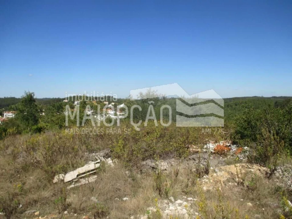 Terreno para Venda em Soure Foto 2