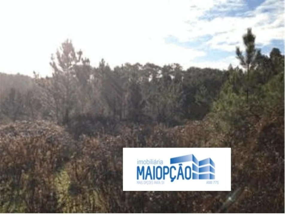 Terreno para Venda em Maceira Foto 1