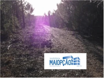 Terreno para Venda em Maceira