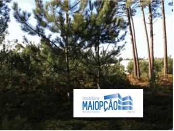 Terreno para Venda em Maceira