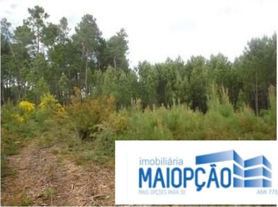 Terreno para Venda em Avelal Foto 6