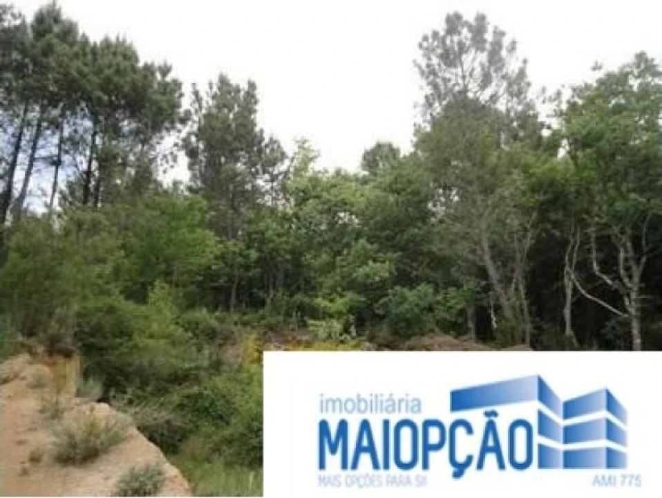 Terreno para Venda em Avelal Foto 4