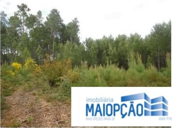 Terreno para Venda em Avelal Foto 6